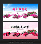 杜鹃花