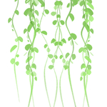 植物装饰绿色树叶元素