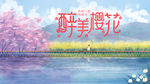 醉美樱花