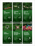 地产绿色微信