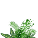 绿色装饰植物芭蕉叶元素