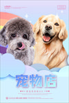 宠物海报