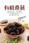 桑葚海报