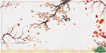 梅花梨花国花开花
