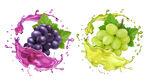 紫色葡萄 葡萄水果