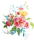 手绘水彩花卉插画