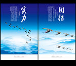 大雁团队