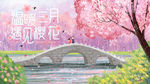 樱花 樱花节 三月樱花