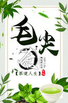 毛尖茶