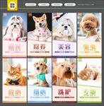 宠物美容