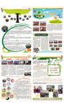 校刊报纸