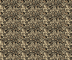豹纹