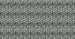 豹纹