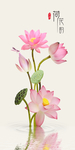 荷花韵