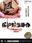 保护野生动物