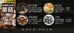 林间的山珍菌菇