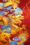 3D立体龙纹
