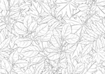 手绘植物线稿