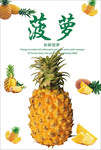 菠萝