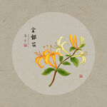 手绘金银花