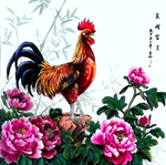 公鸡