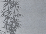 实用的阴影样机
