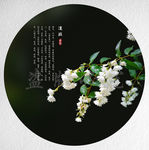 溲疏