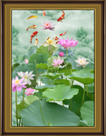 国画荷花