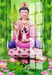 观音菩萨