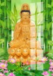 观音菩萨