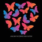 彩色蝴蝶花鸟昆虫图案素材矢量