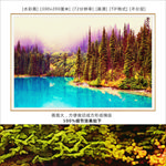 风景画 蓝色湖泊 松林