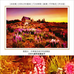晚霞风景装饰画高清