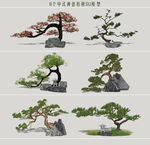 中式禅意松树
