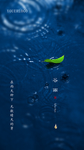 谷雨