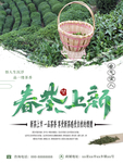 春茶上新