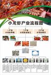 潜江小龙虾产业流程图