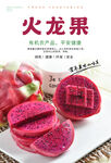 红心火龙果