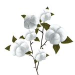 卡通插画白色棉花元素