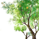 绿色春天插画植物元素