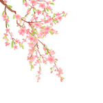 粉色插画装饰植物元素