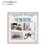 清新可爱萌宠展板