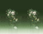 女装花