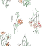 小碎花