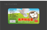 鸽子蛋标签