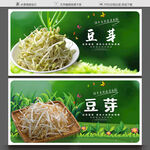 豆芽