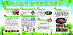 野生菌预防宣传栏