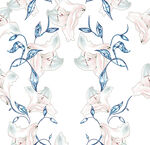 手绘白底牵牛花