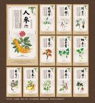 中药养生