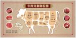 牛肉各个部分图